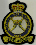 RAF REGIMENT BLAZER BADGE